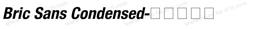 Bric Sans Condensed字体转换
